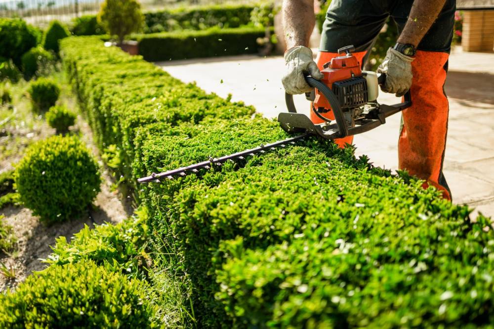 Entretien de jardin près de La Ferté Vidame